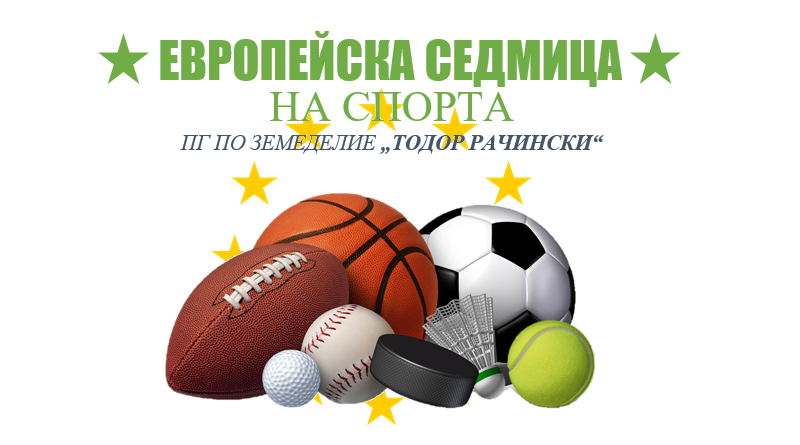 sport banner